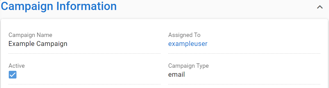 Campaign information interface displaying "Example Campaign," its active status, assigned user, and campaign type as email.