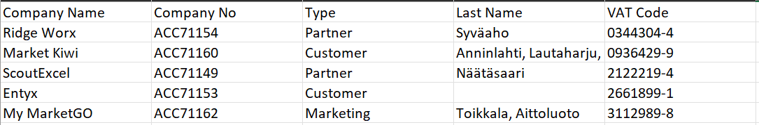 A spreadsheet with columns for Company Name, Number, Type, Last Name, and VAT Code.