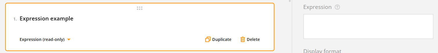 Screenshot of a user interface with an "Expression example" section, dropdown menu, and option buttons labeled "Duplicate" and "Delete".