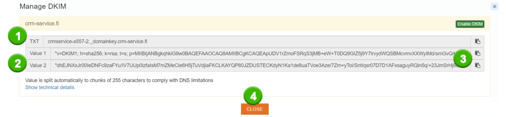 Screenshot of a DKIM record management interface with multi-part TXT values for domain verification.