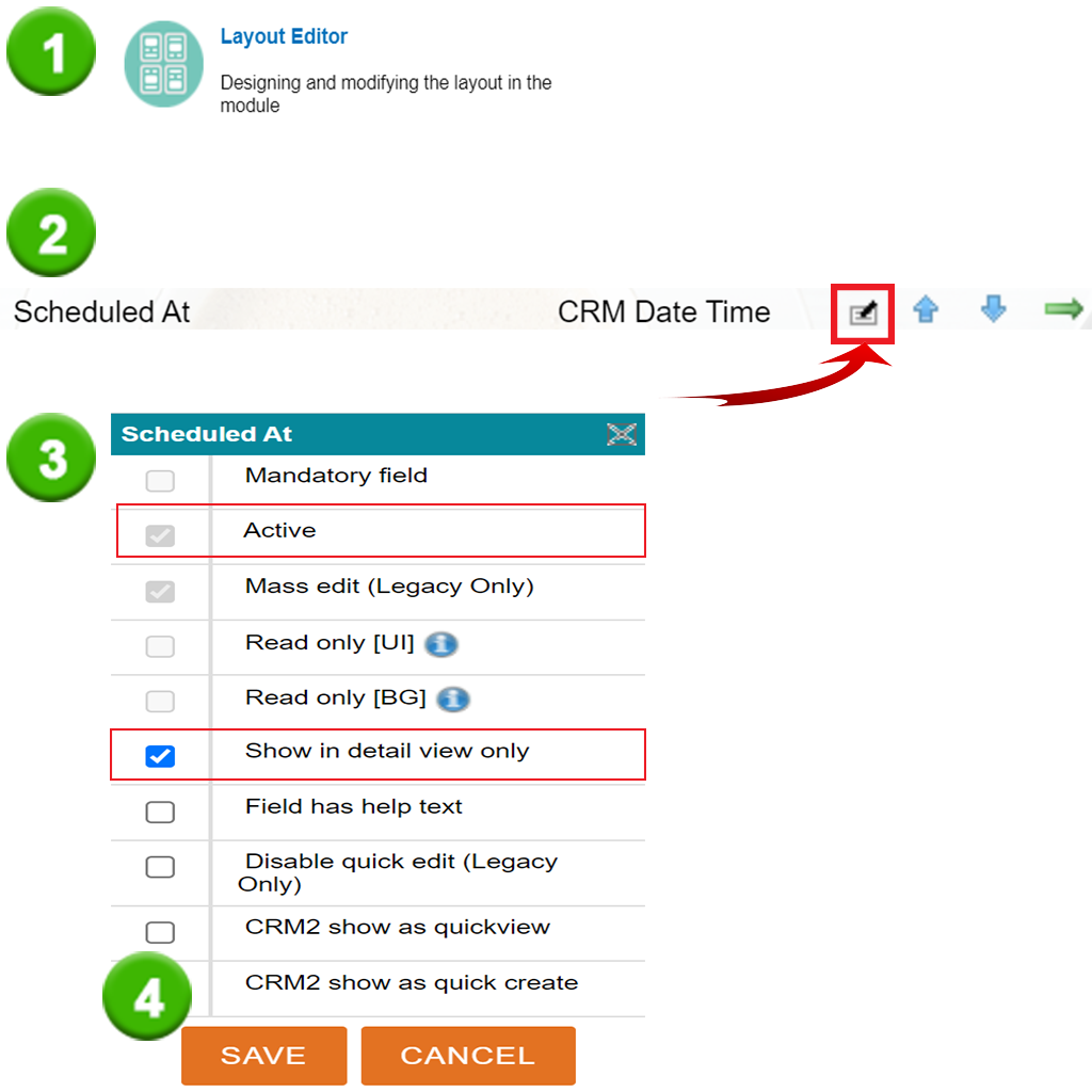 Screenshot of a CRM interface highlighting the 'Active' option and 'Show in detail view only' checkbox.