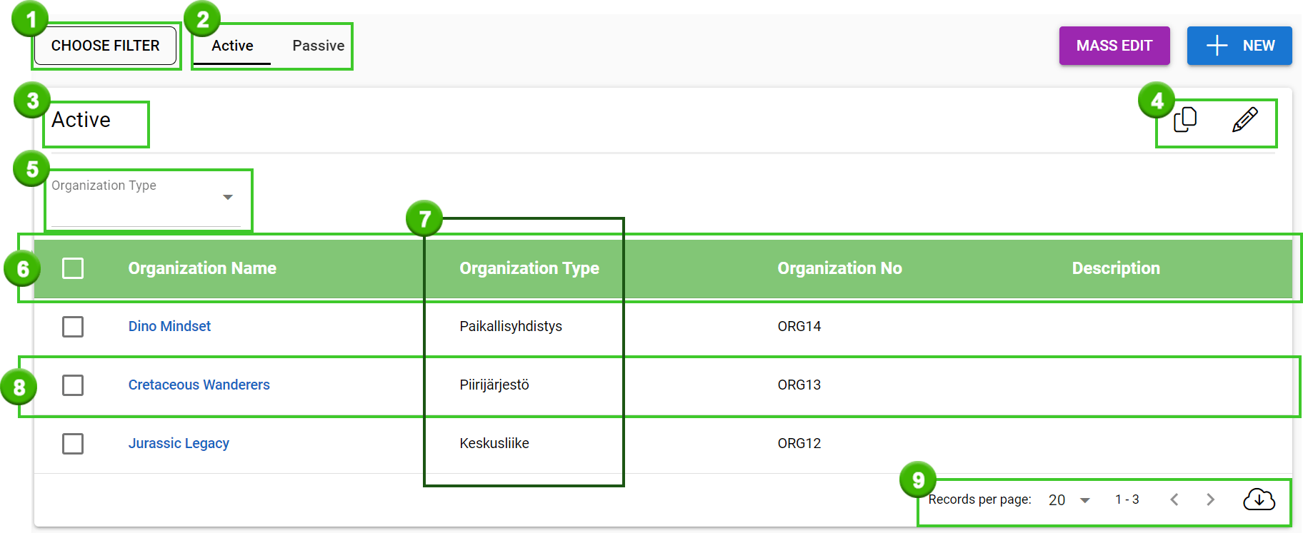 Screenshot of a database interface filtering active organizations with name and type columns visible.