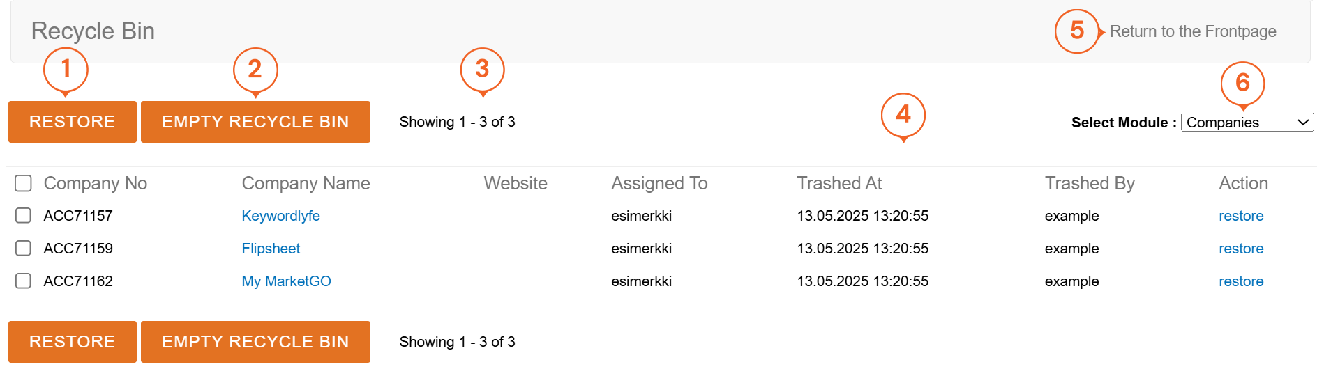 A user interface for a Recycle Bin, displaying options to restore or empty items, with lists of trashed companies and actions available.